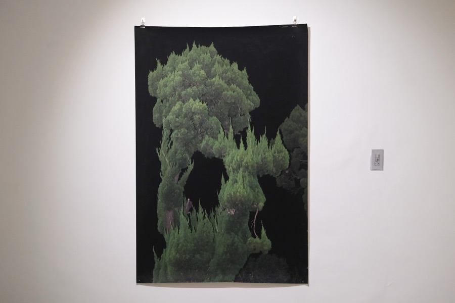 圖像系譜學｜李威辰個展 5
