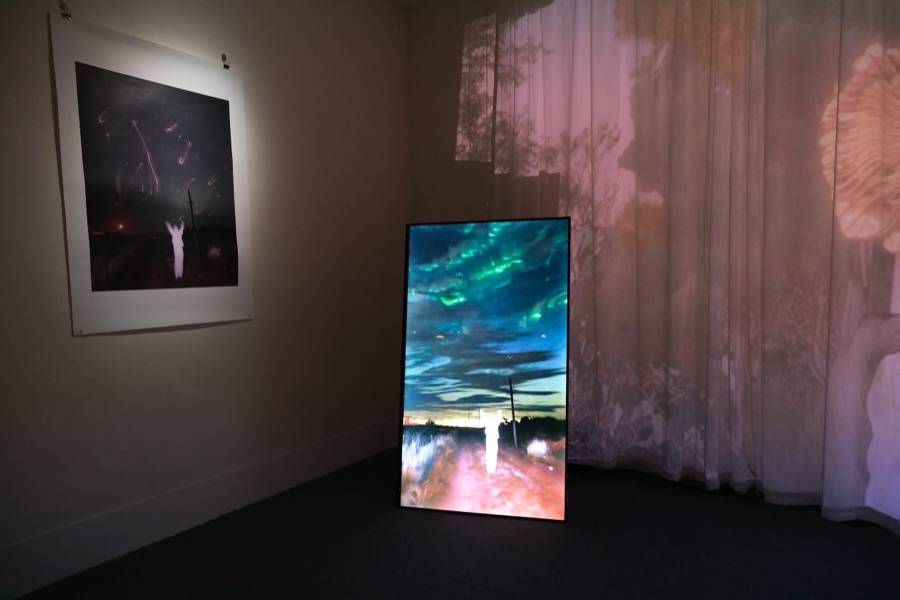 圖像系譜學｜李威辰個展 7