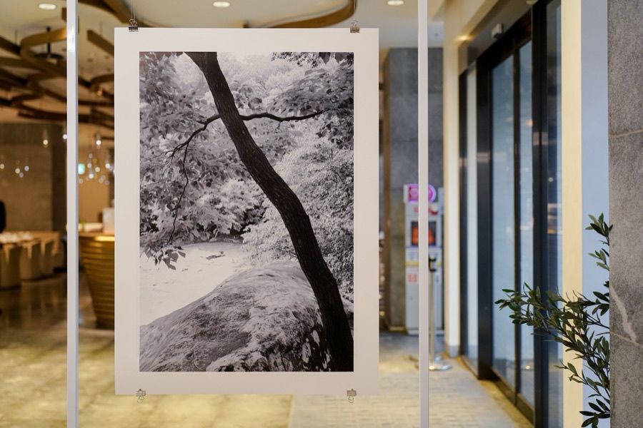 尋山問境｜李威辰個展 5