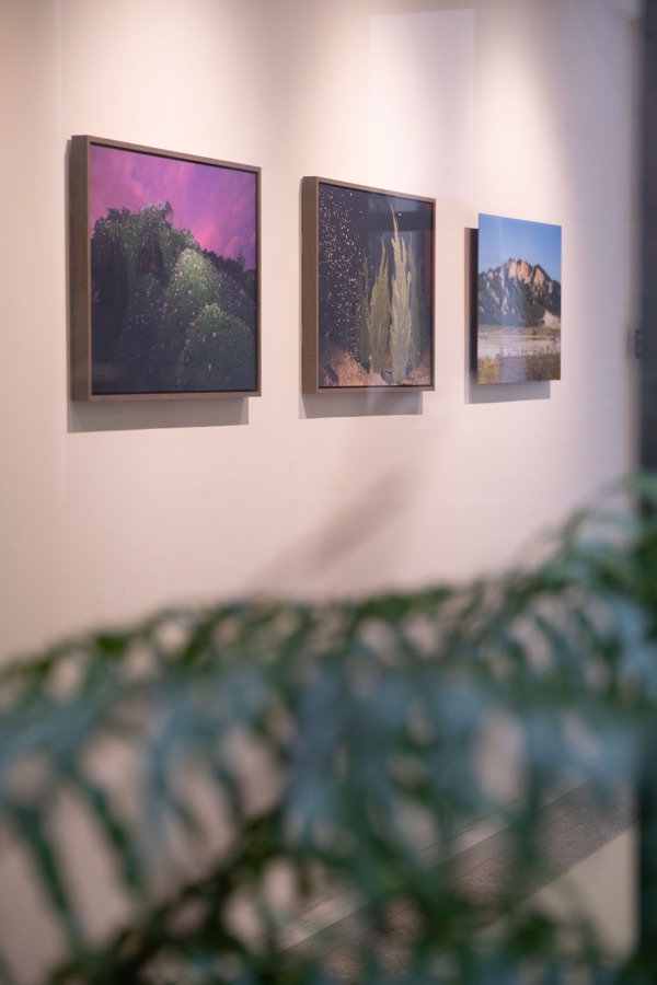 鐵山誌｜李威辰個展 9