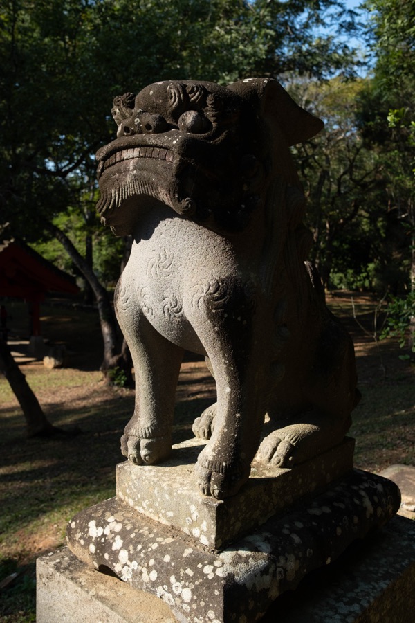 極 23