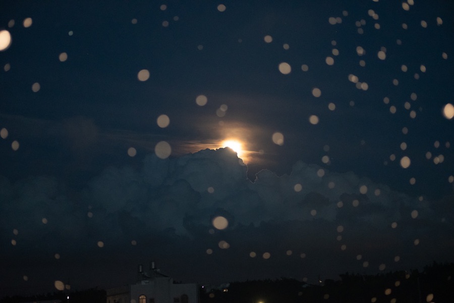 夜遊 7