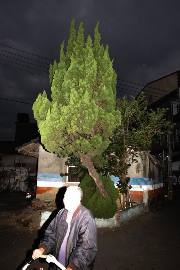 蓬山行 4