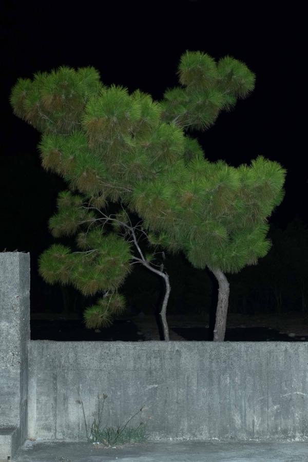 蓬山行 18