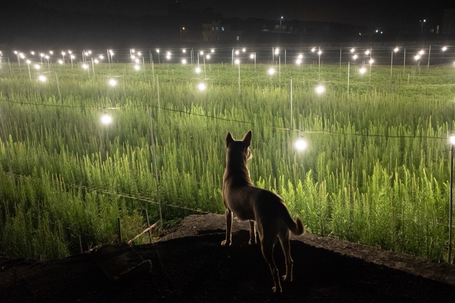 犬山記 14